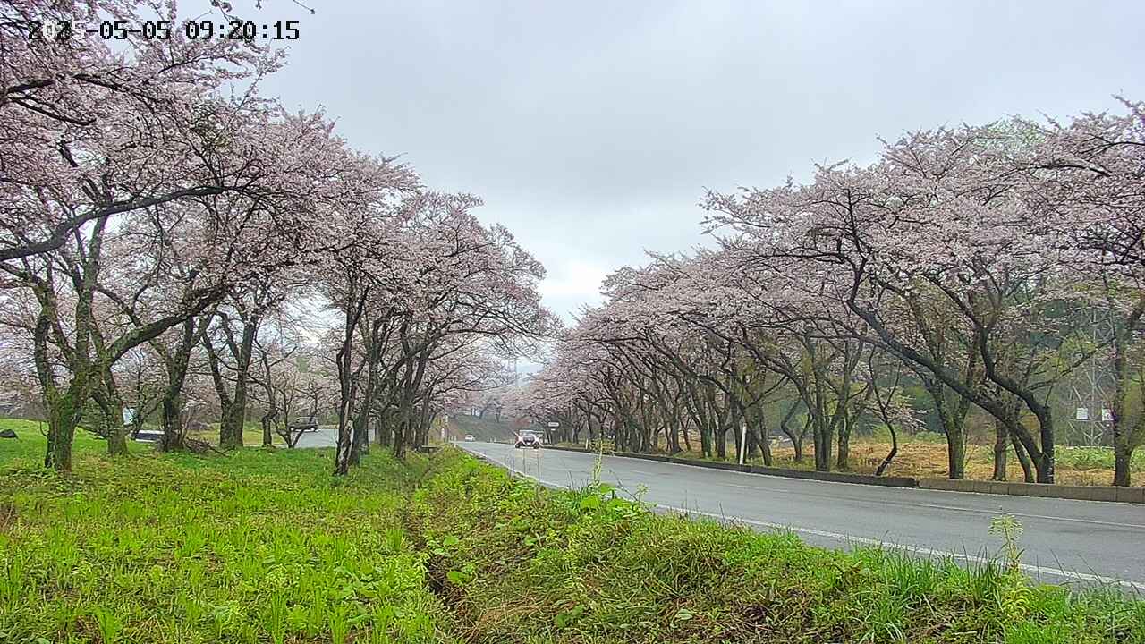 takano1-20250505092015.jpg