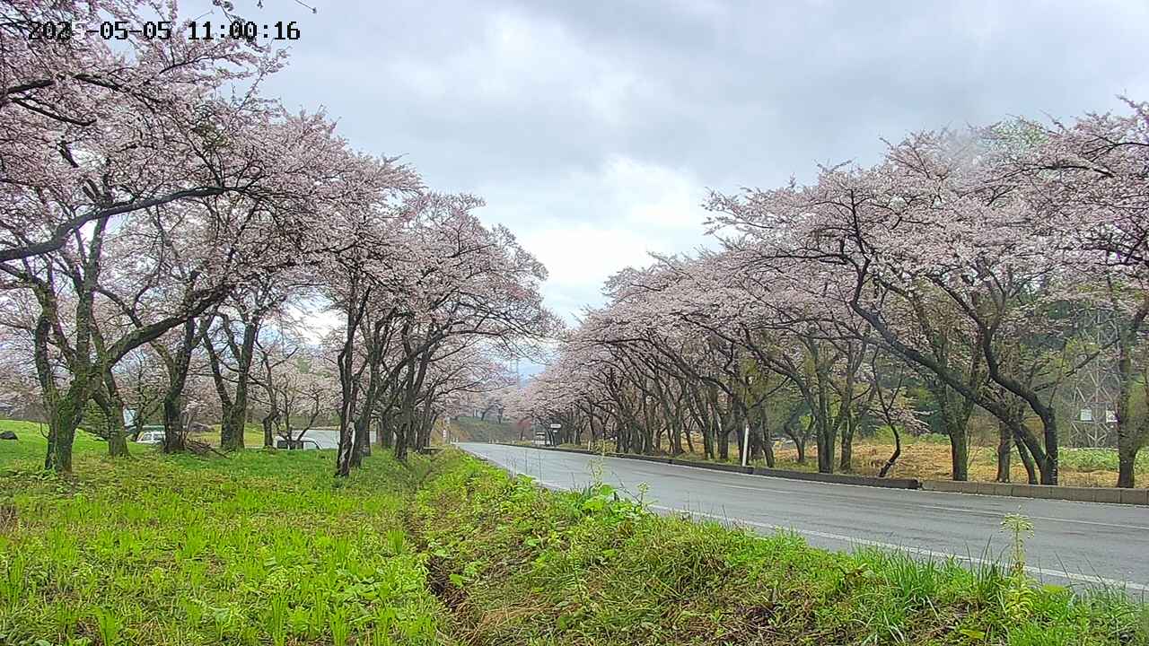 takano1-20250505110017.jpg