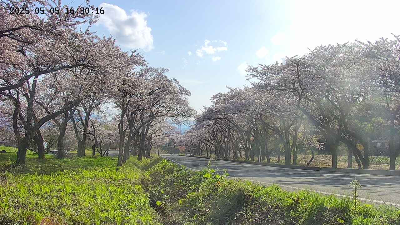 takano1-20250505163017.jpg