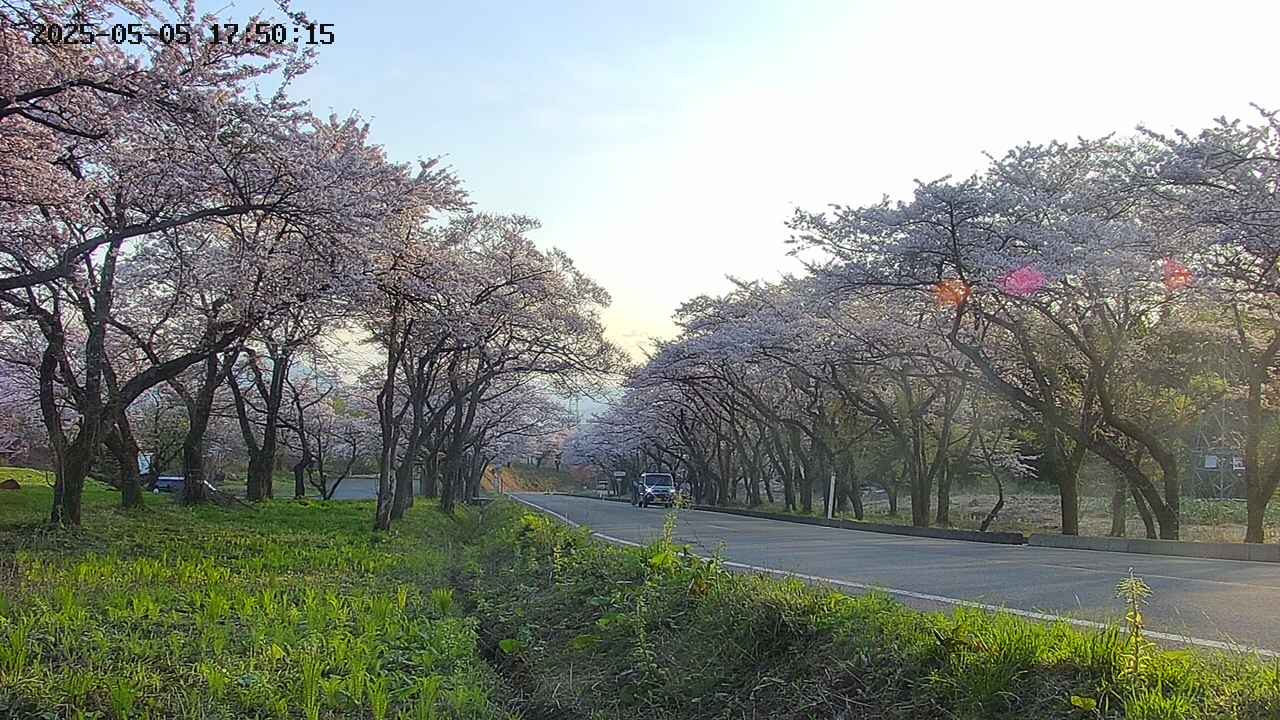takano1-20250505175017.jpg