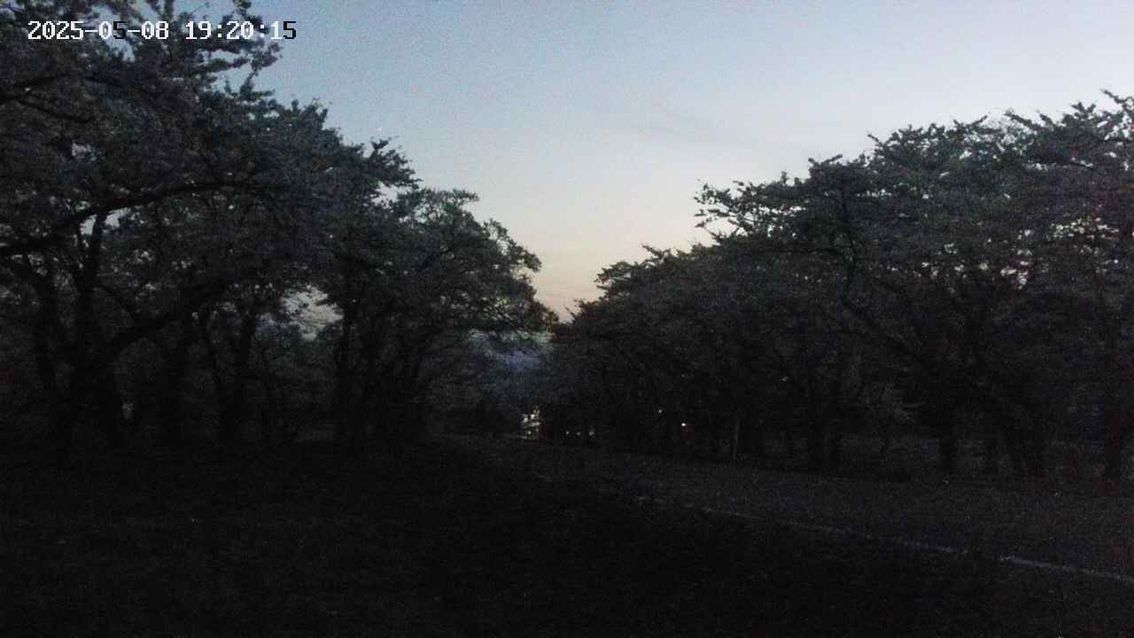 takano1-20250508192016.jpg
