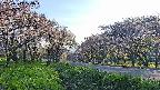 takano1-20250513173017.jpg
