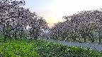 takano1-20250513183017.jpg
