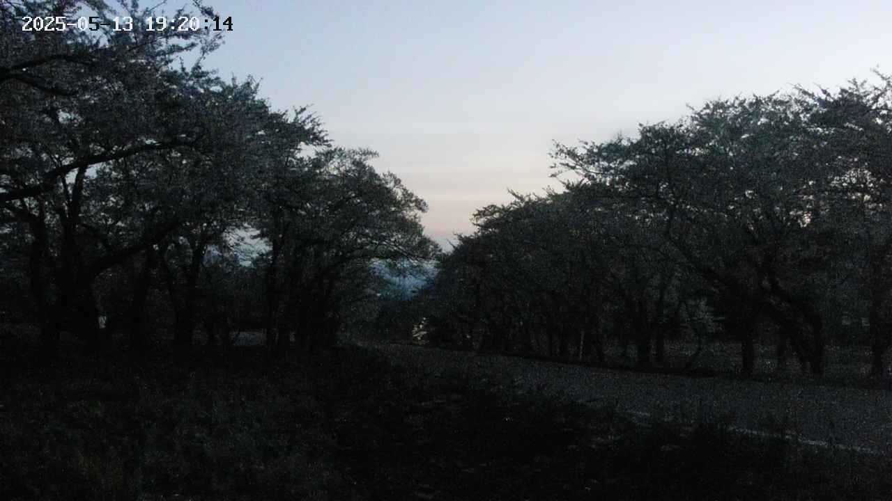 takano1-20250513192015.jpg