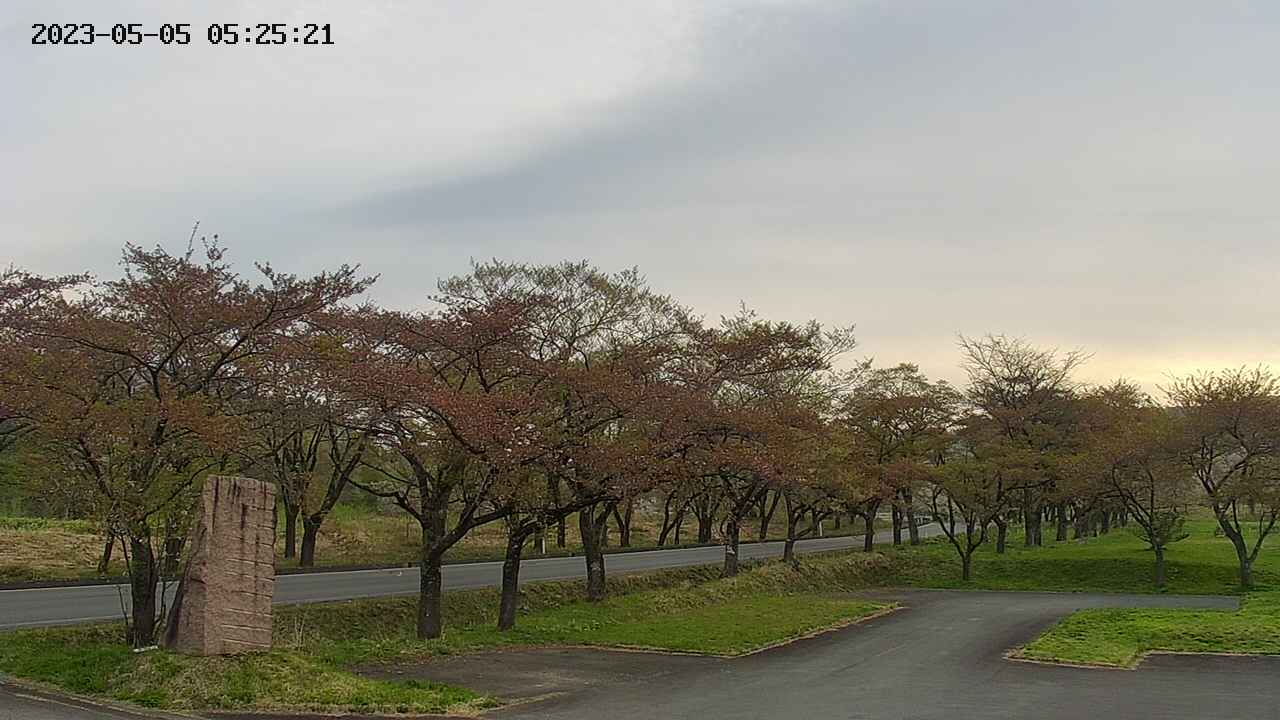 takano2-20230505052523.jpg