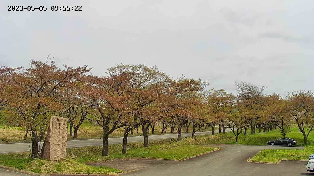 takano2-20230505095523.jpg