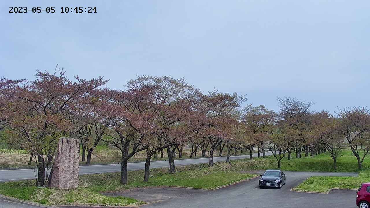 takano2-20230505104525.jpg