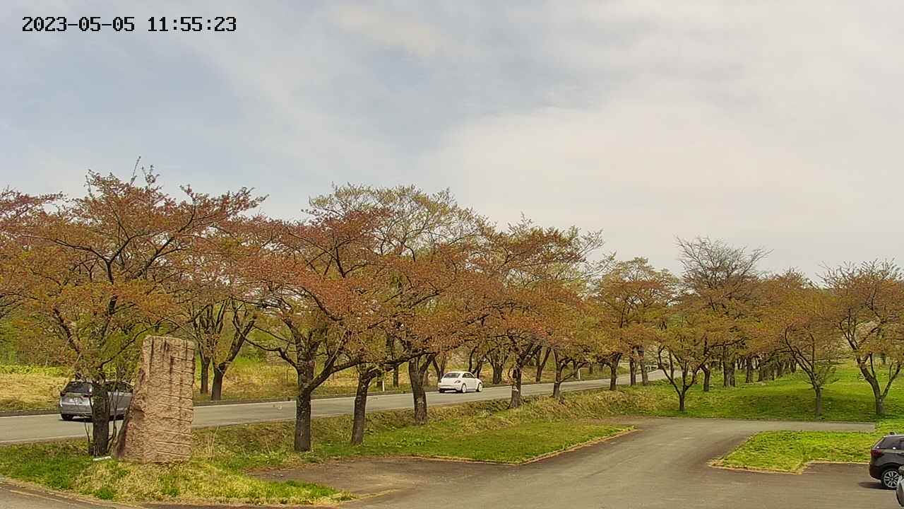 takano2-20230505115524.jpg