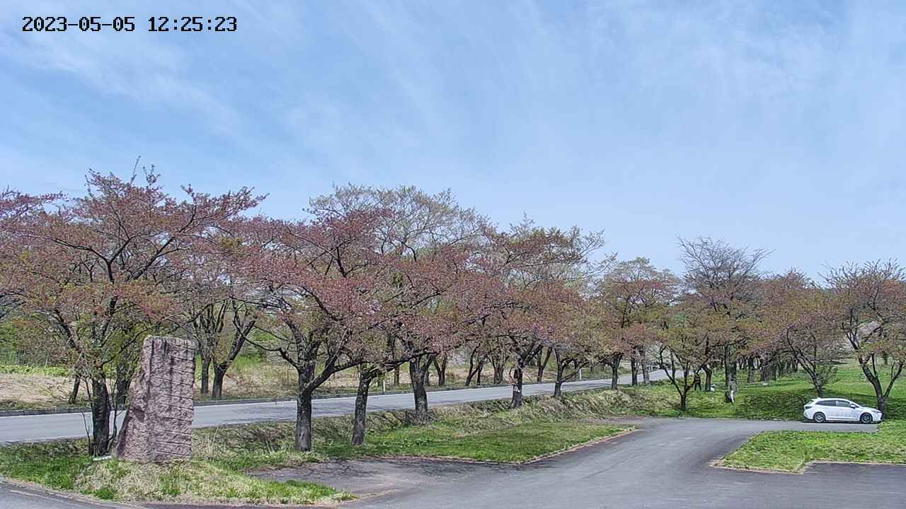 takano2-20230505122524.jpg