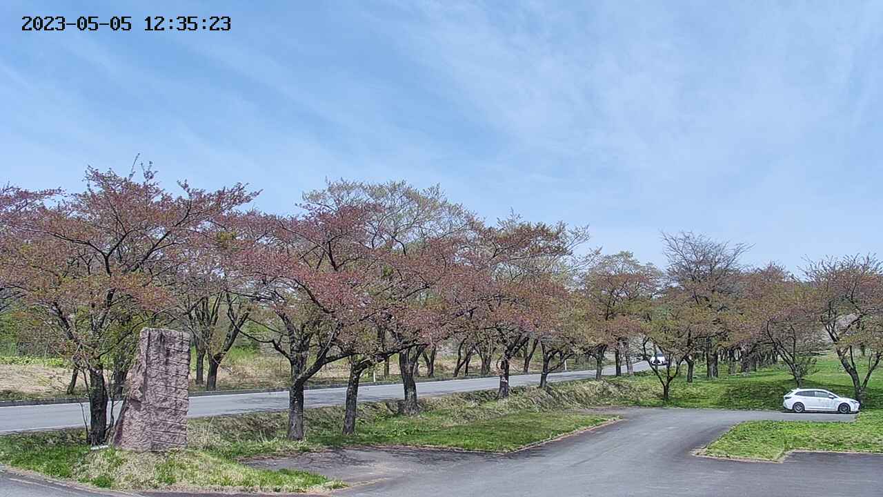 takano2-20230505123525.jpg