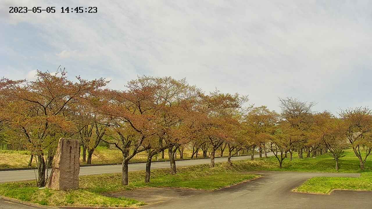 takano2-20230505144524.jpg