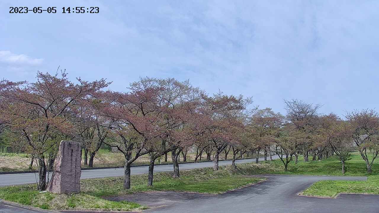takano2-20230505145524.jpg