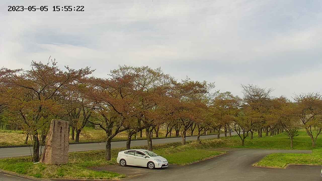 takano2-20230505155524.jpg