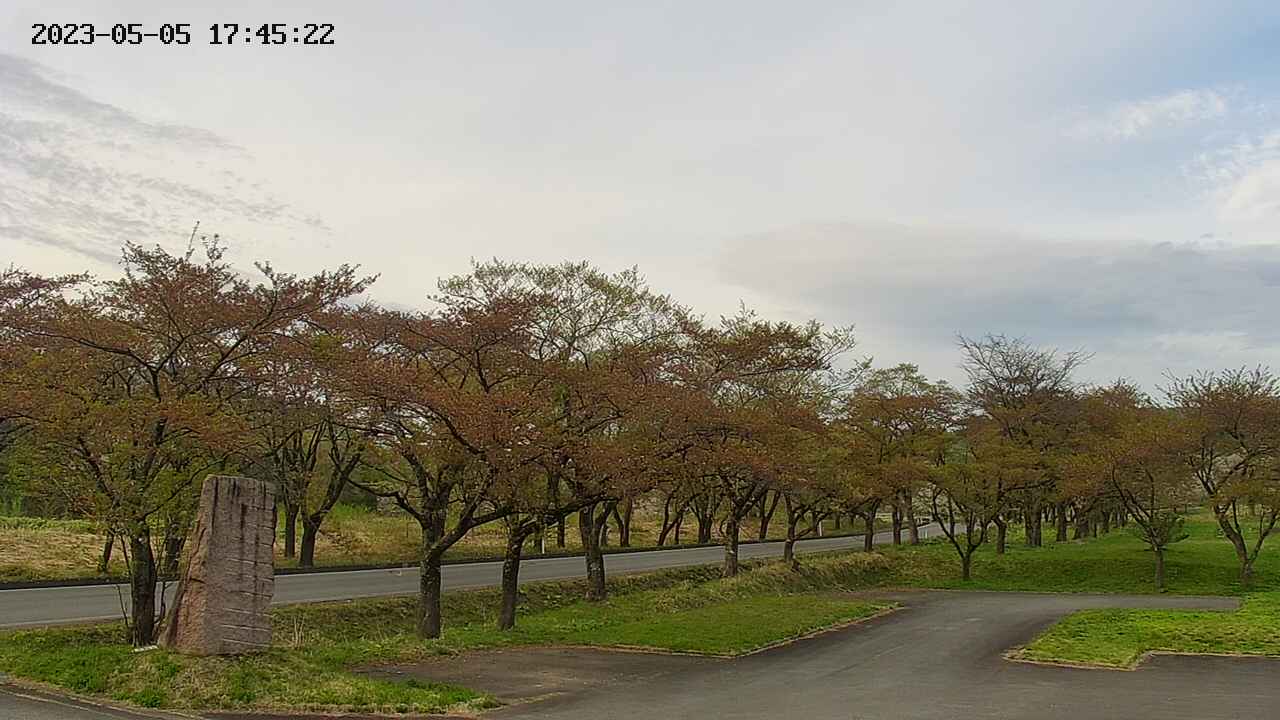 takano2-20230505174523.jpg