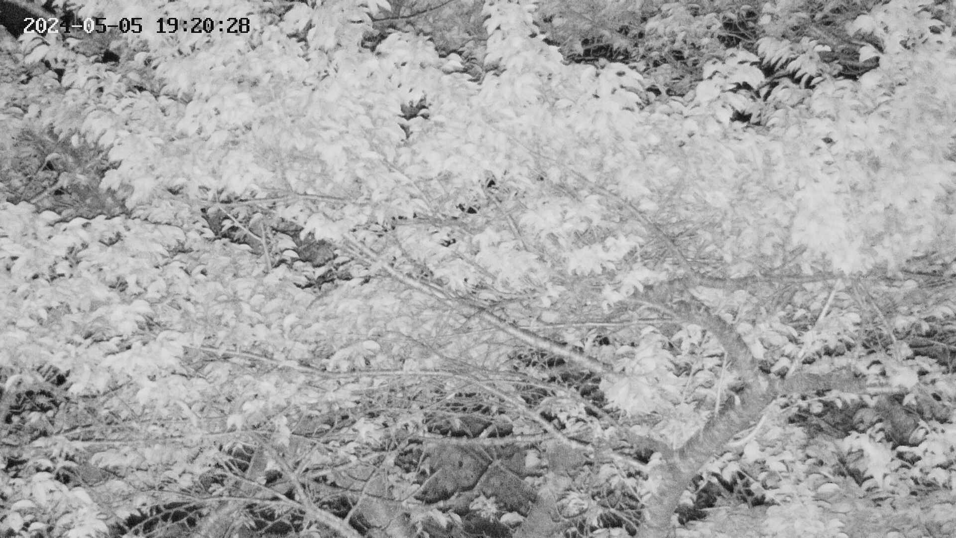 takano2-20240505192029.jpg