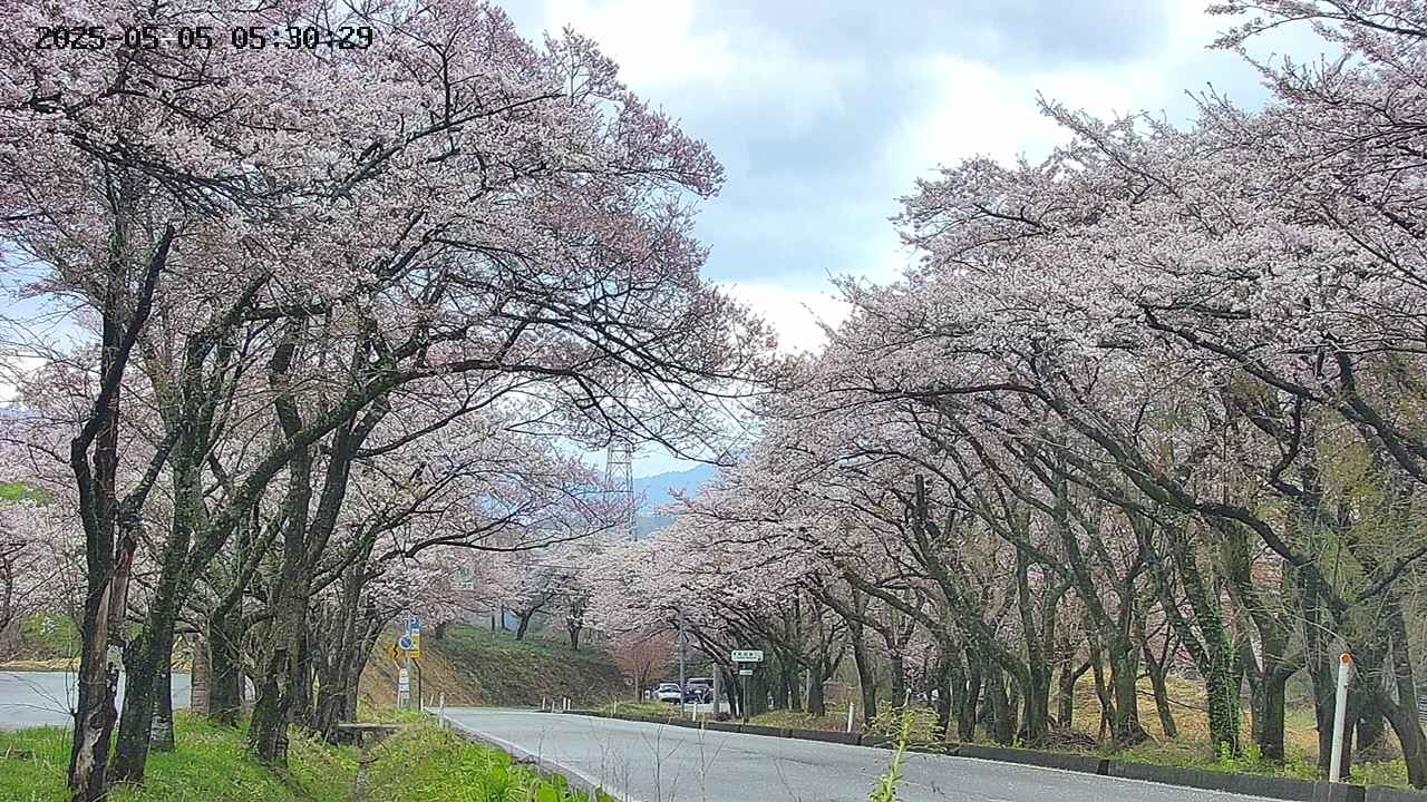 takano2-20250505053031.jpg