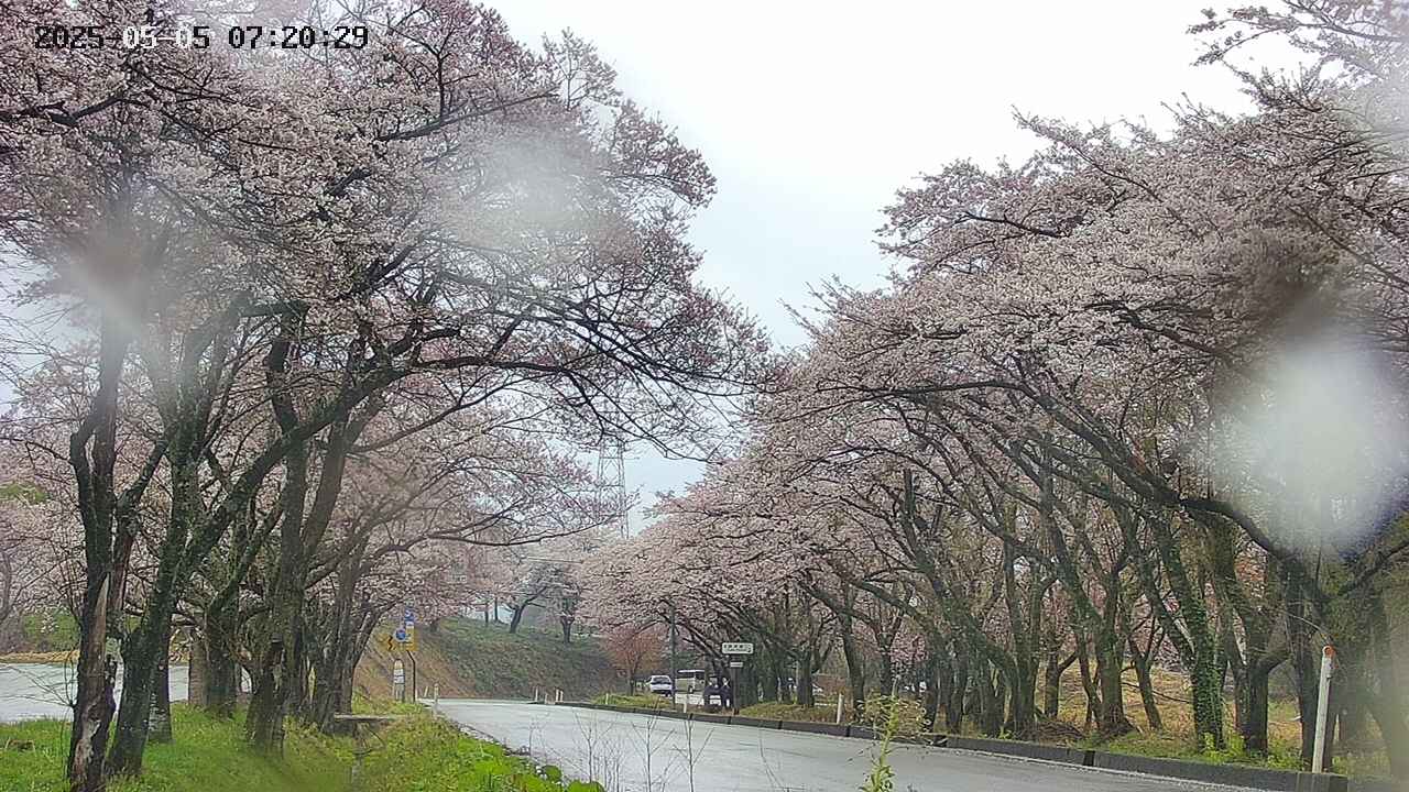 takano2-20250505072030.jpg