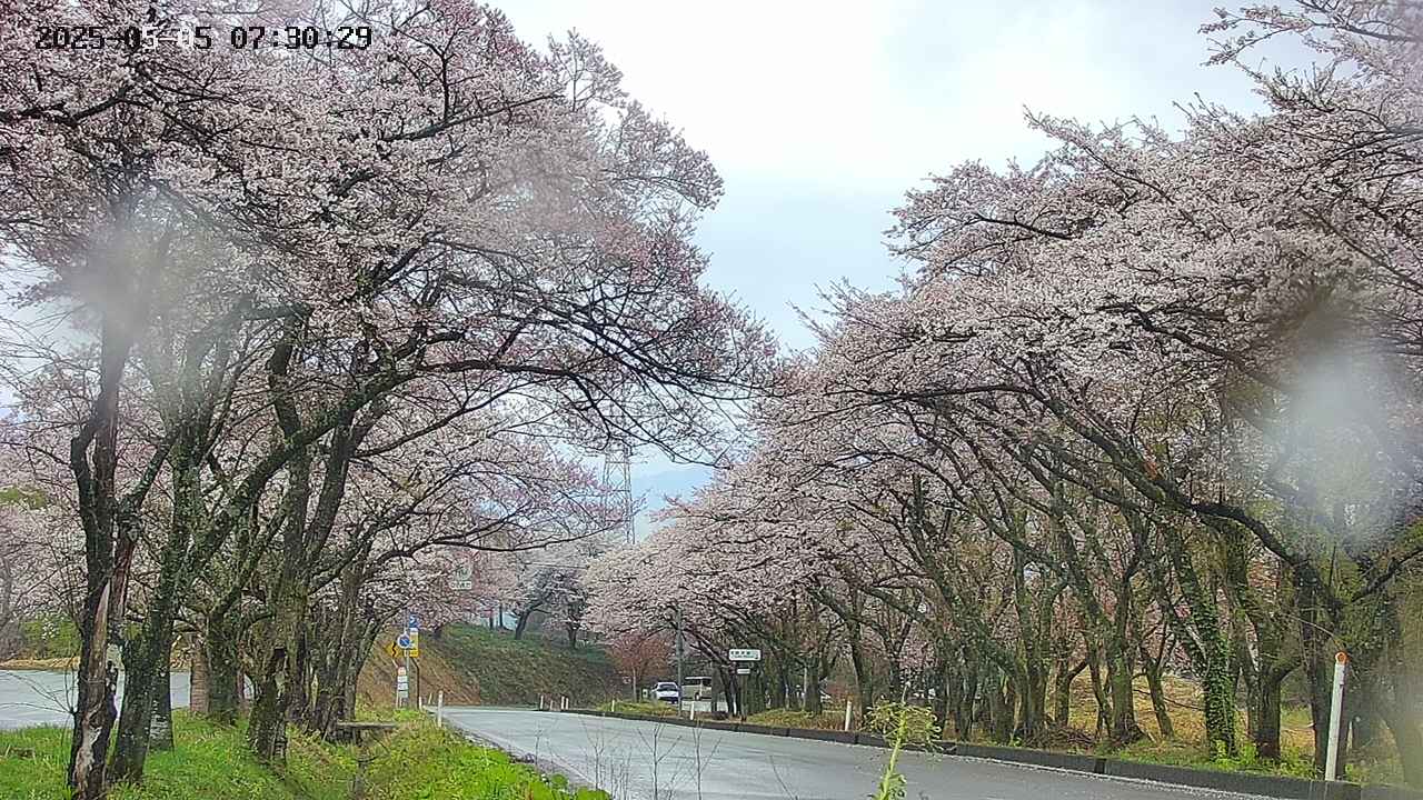 takano2-20250505073030.jpg