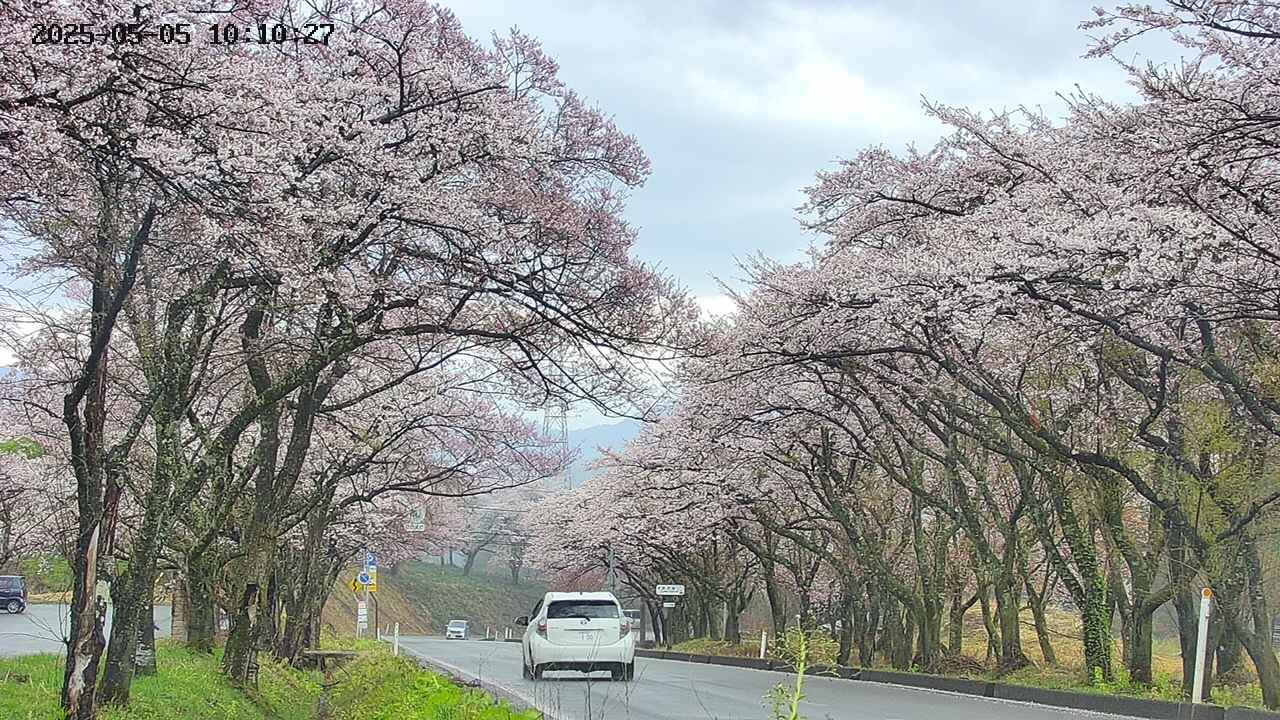 takano2-20250505101028.jpg