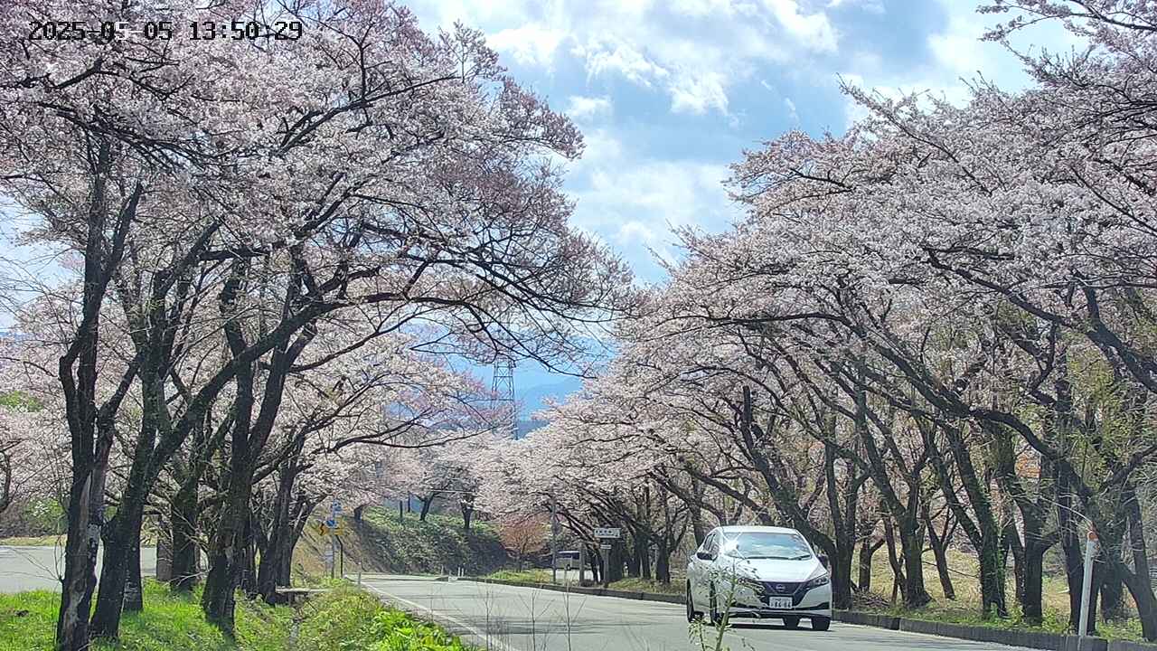 takano2-20250505135030.jpg