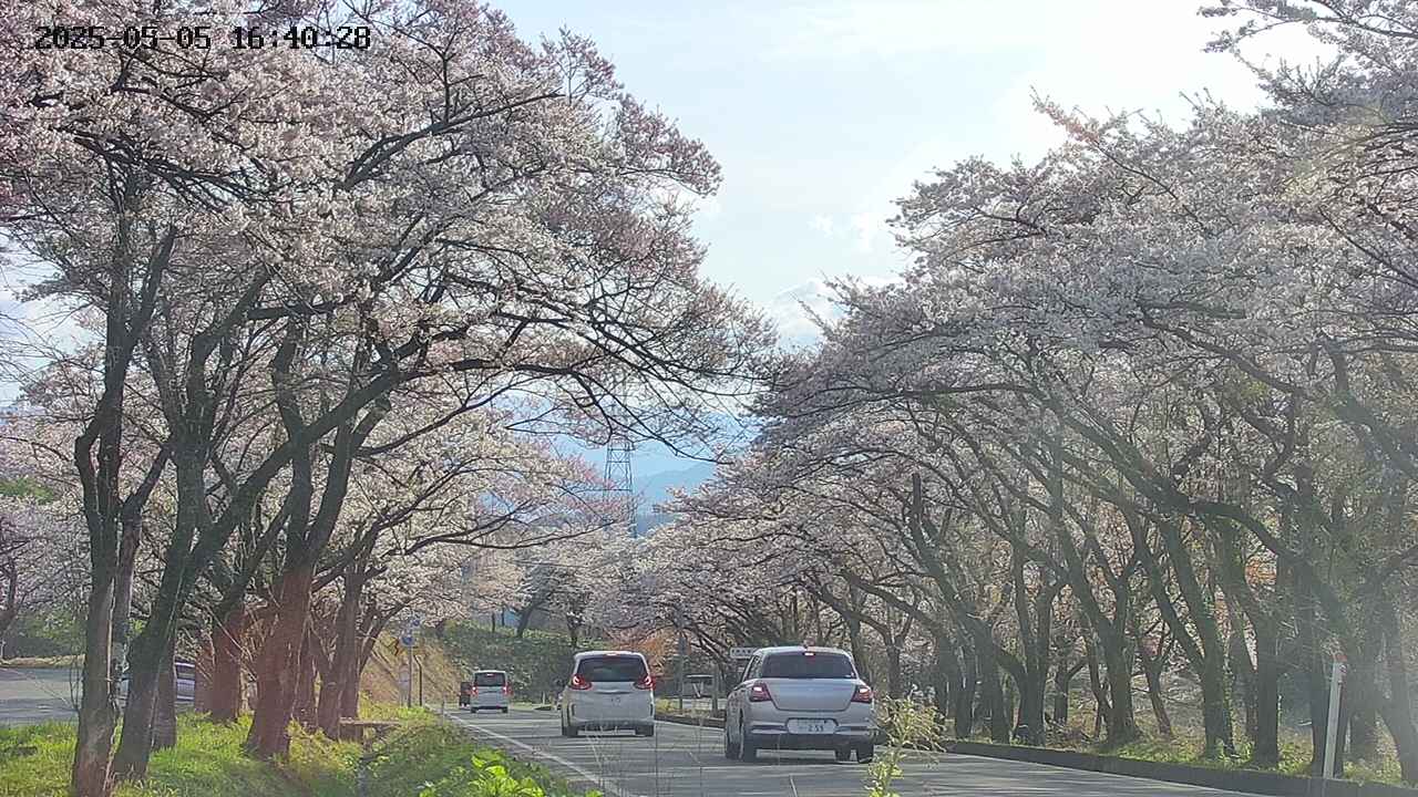 takano2-20250505164030.jpg