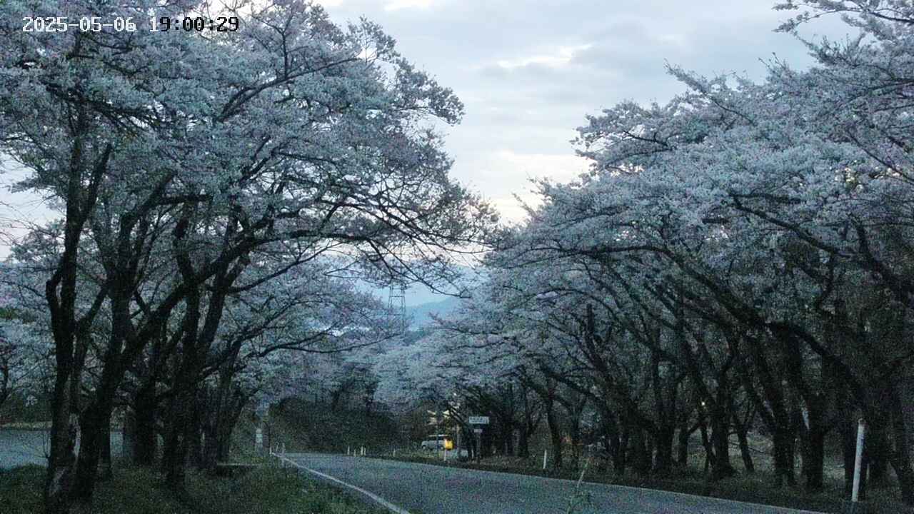 takano2-20250506190030.jpg
