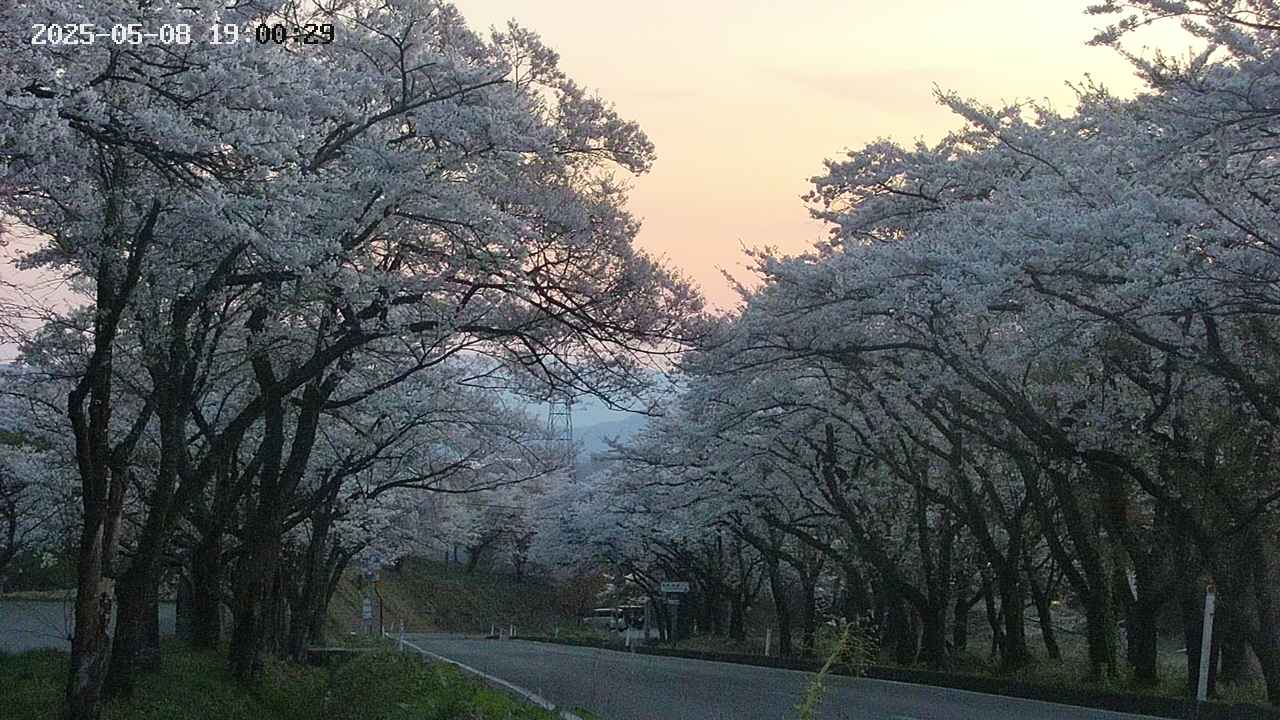 takano2-20250508190030.jpg