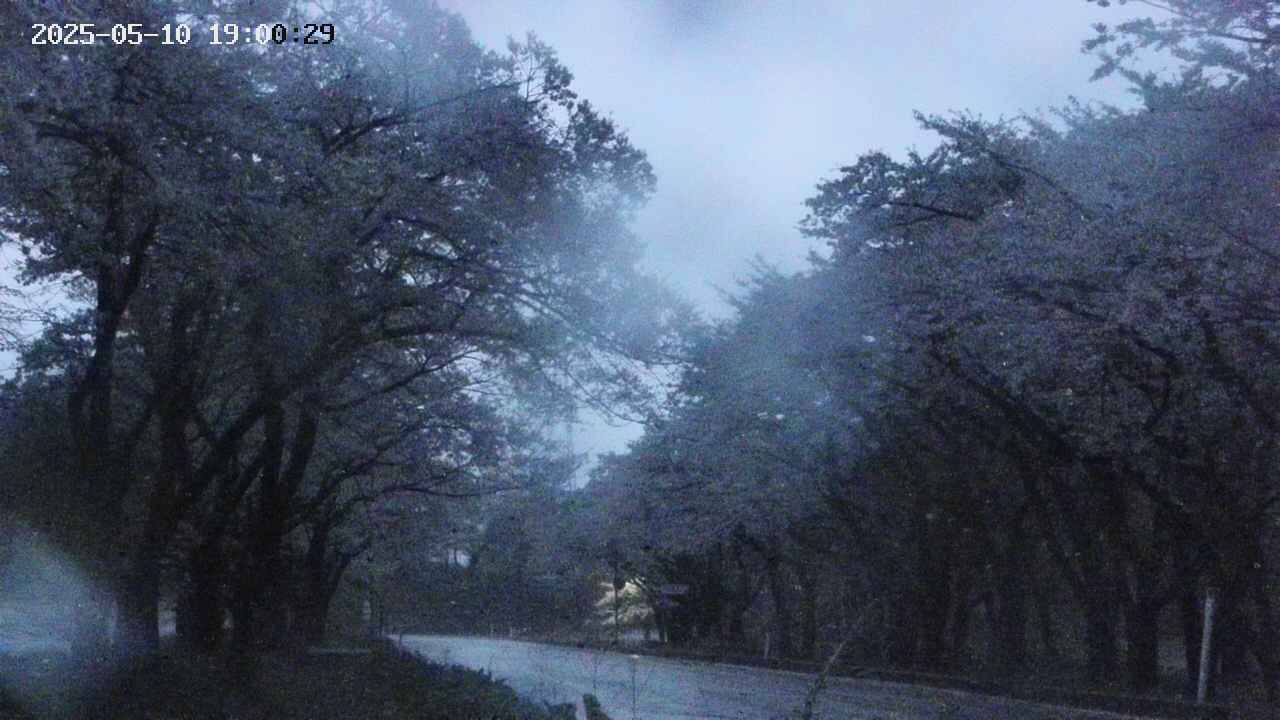 takano2-20250510190030.jpg
