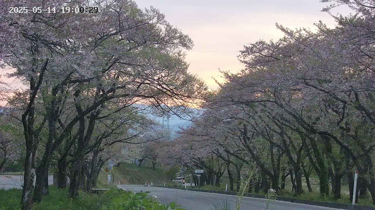 takano2-20250514190031.jpg