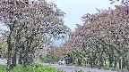 takano2-20250515123032.jpg
