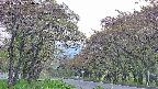 takano2-20250515164029.jpg