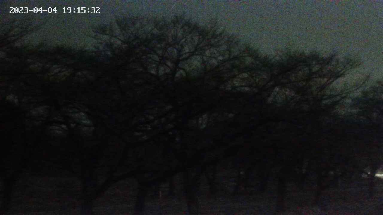 takano3-20230404191534.jpg