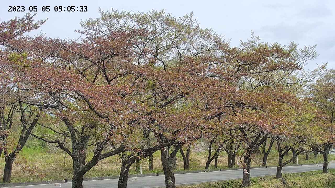 takano3-20230505090535.jpg