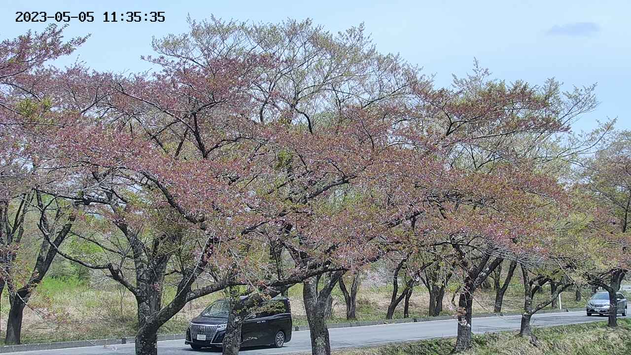 takano3-20230505113537.jpg