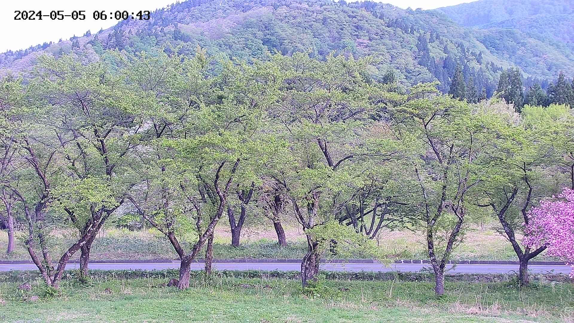 takano3-20240505060045.jpg