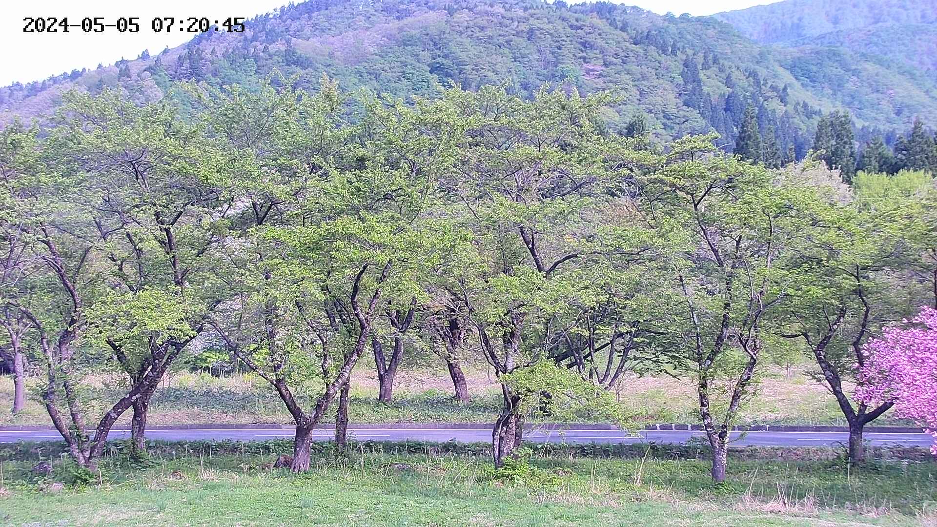 takano3-20240505072047.jpg