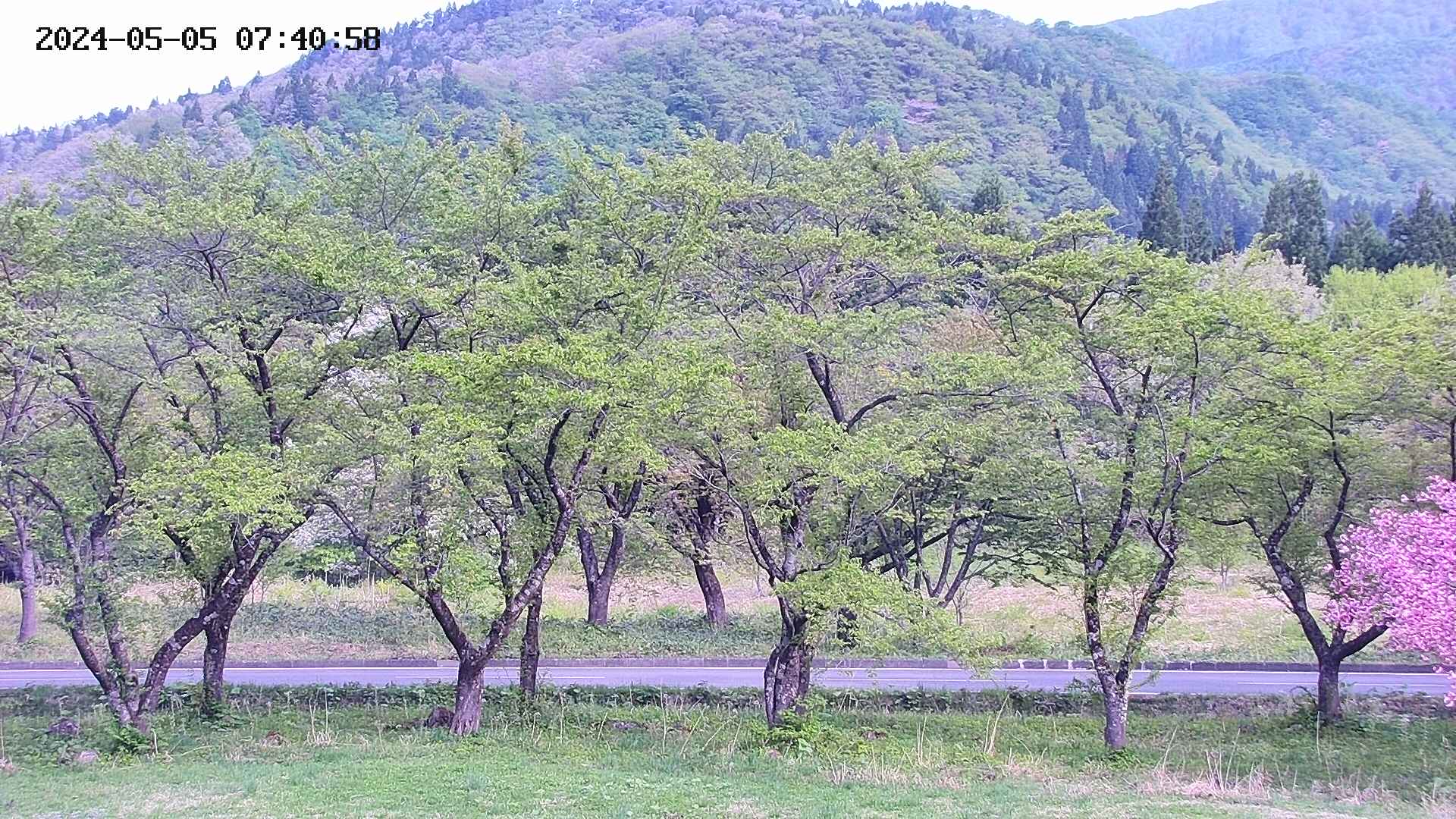takano3-20240505074059.jpg
