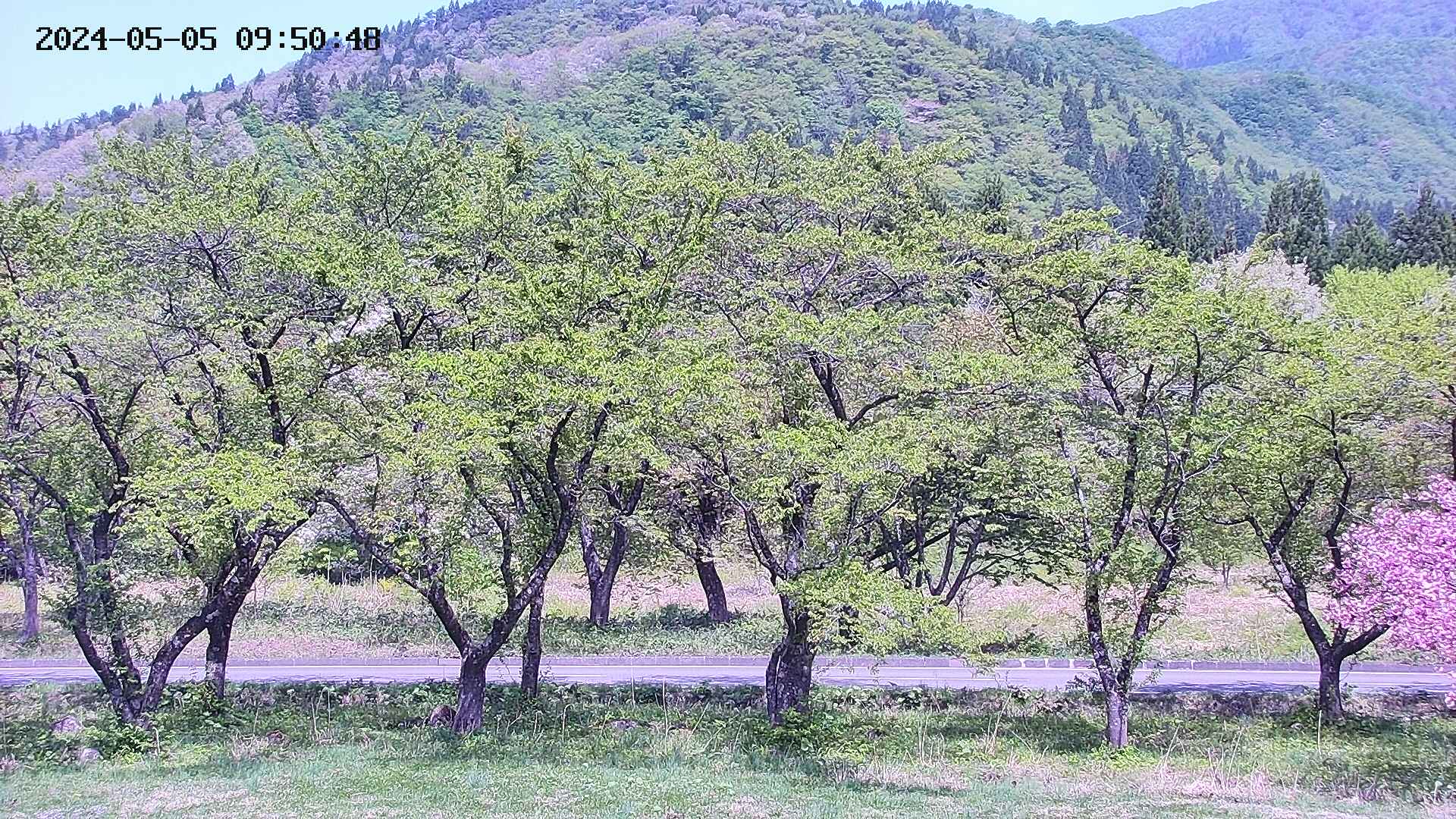 takano3-20240505095049.jpg