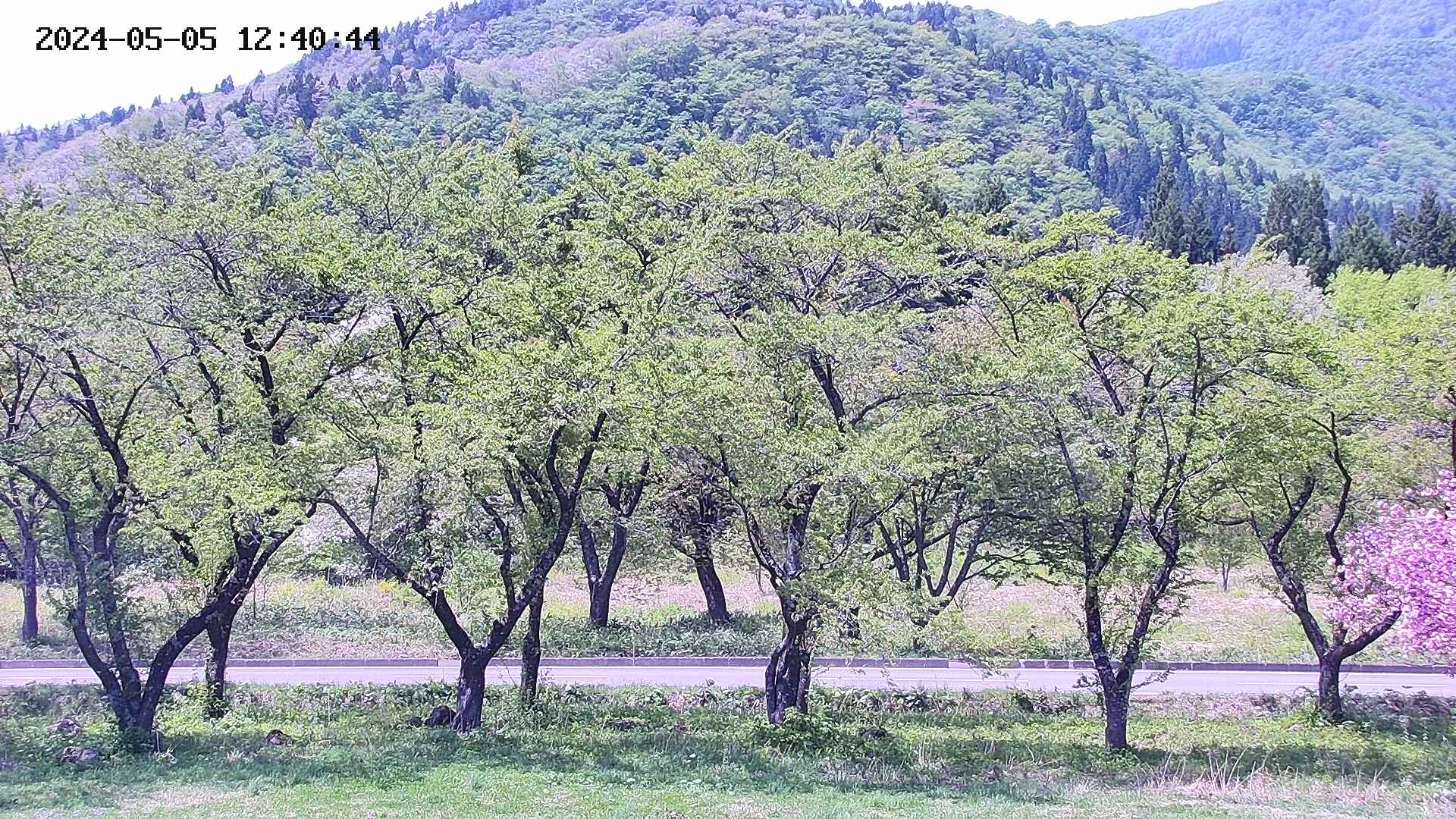 takano3-20240505124046.jpg