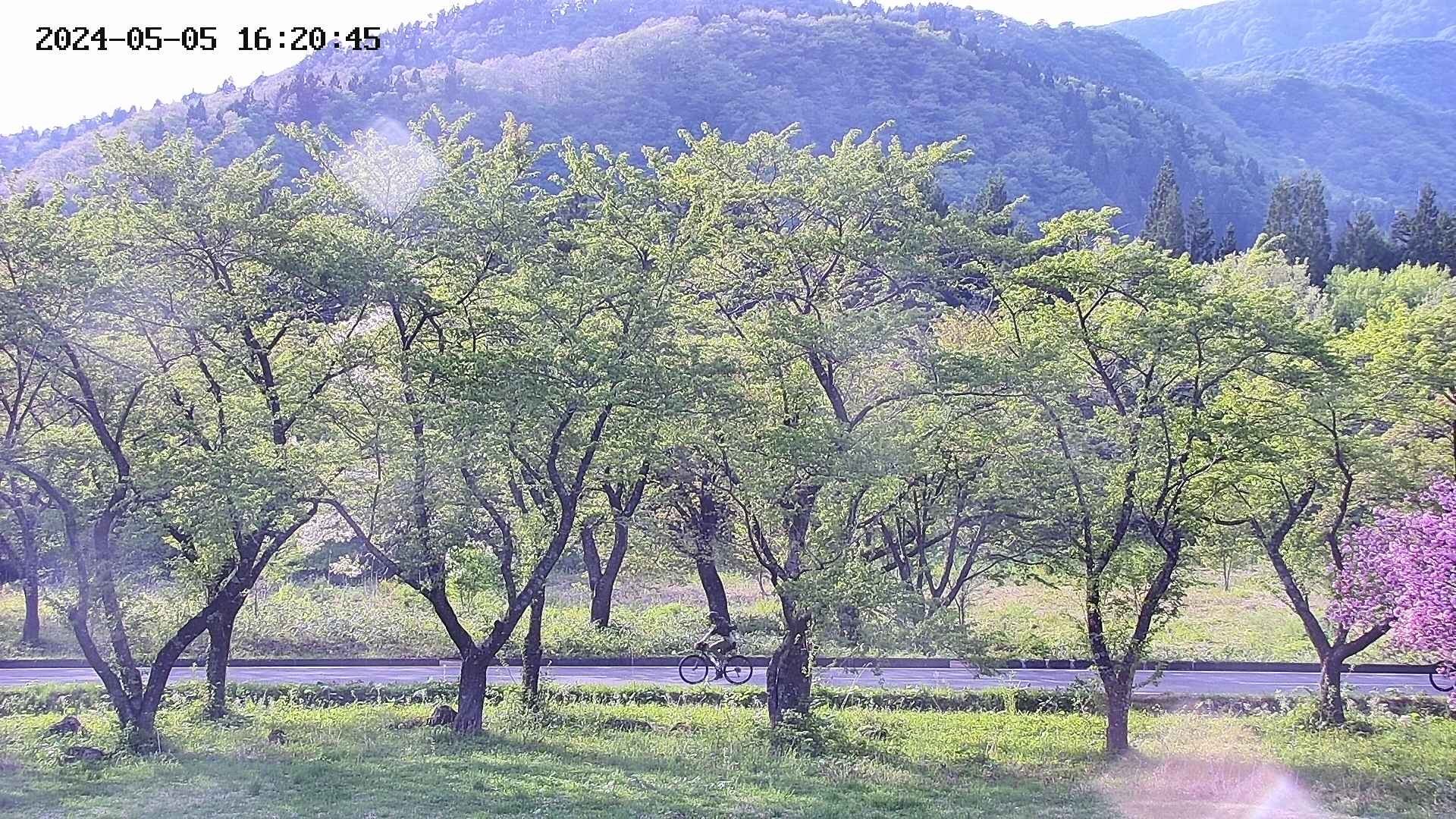 takano3-20240505162047.jpg