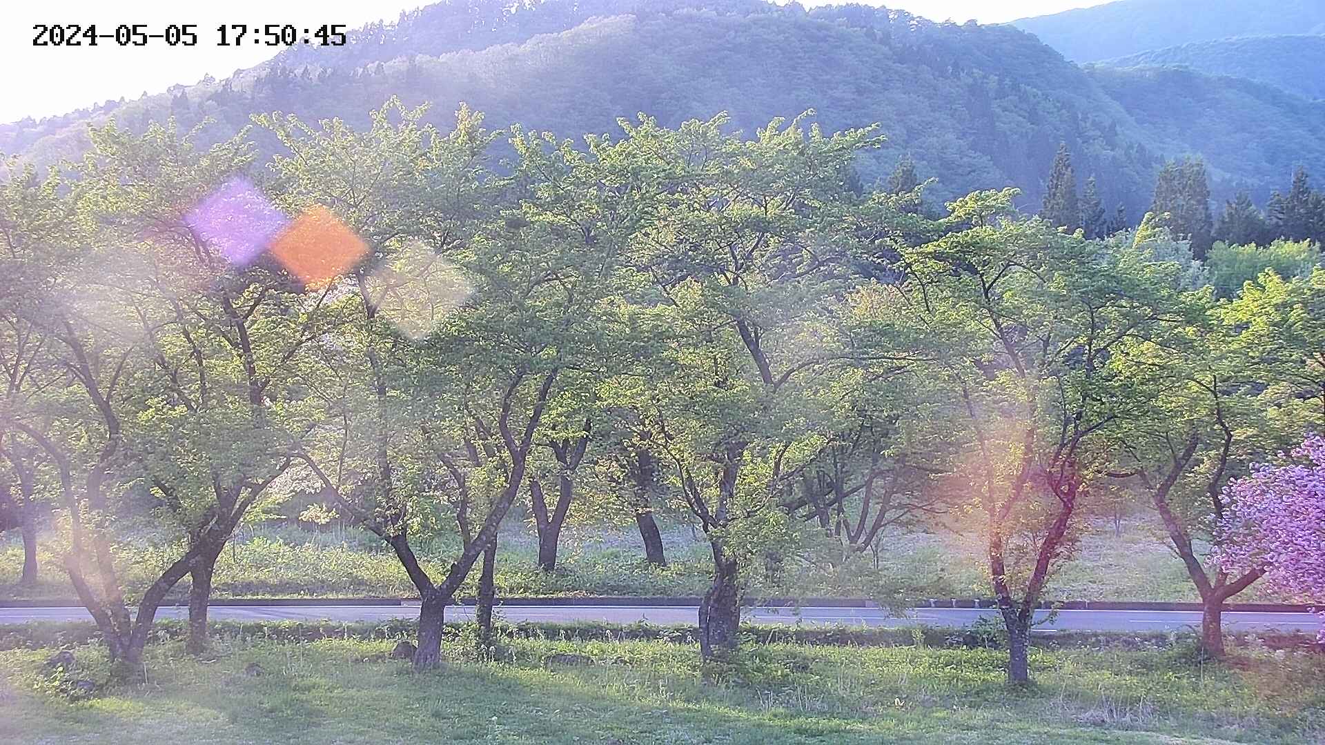 takano3-20240505175046.jpg