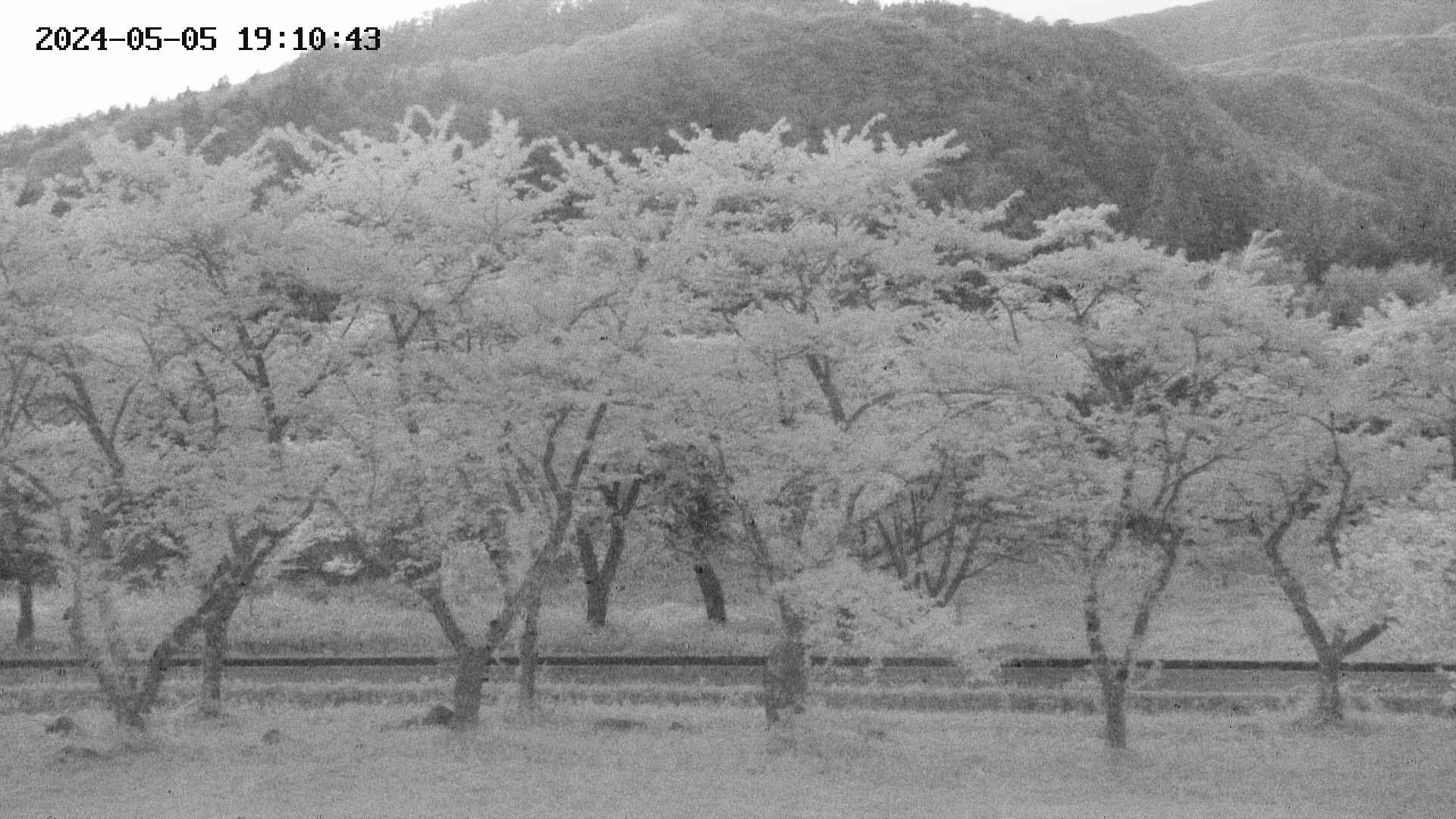 takano3-20240505191044.jpg