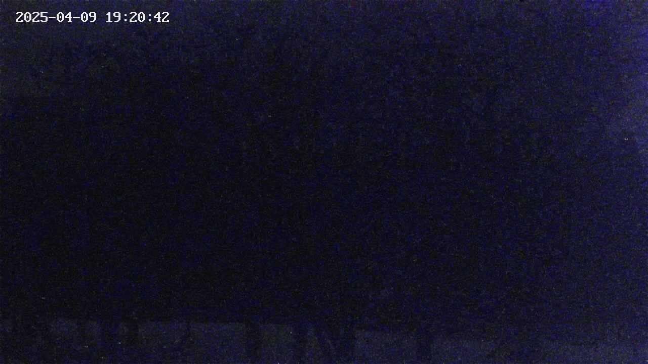 takano3-20250409192043.jpg