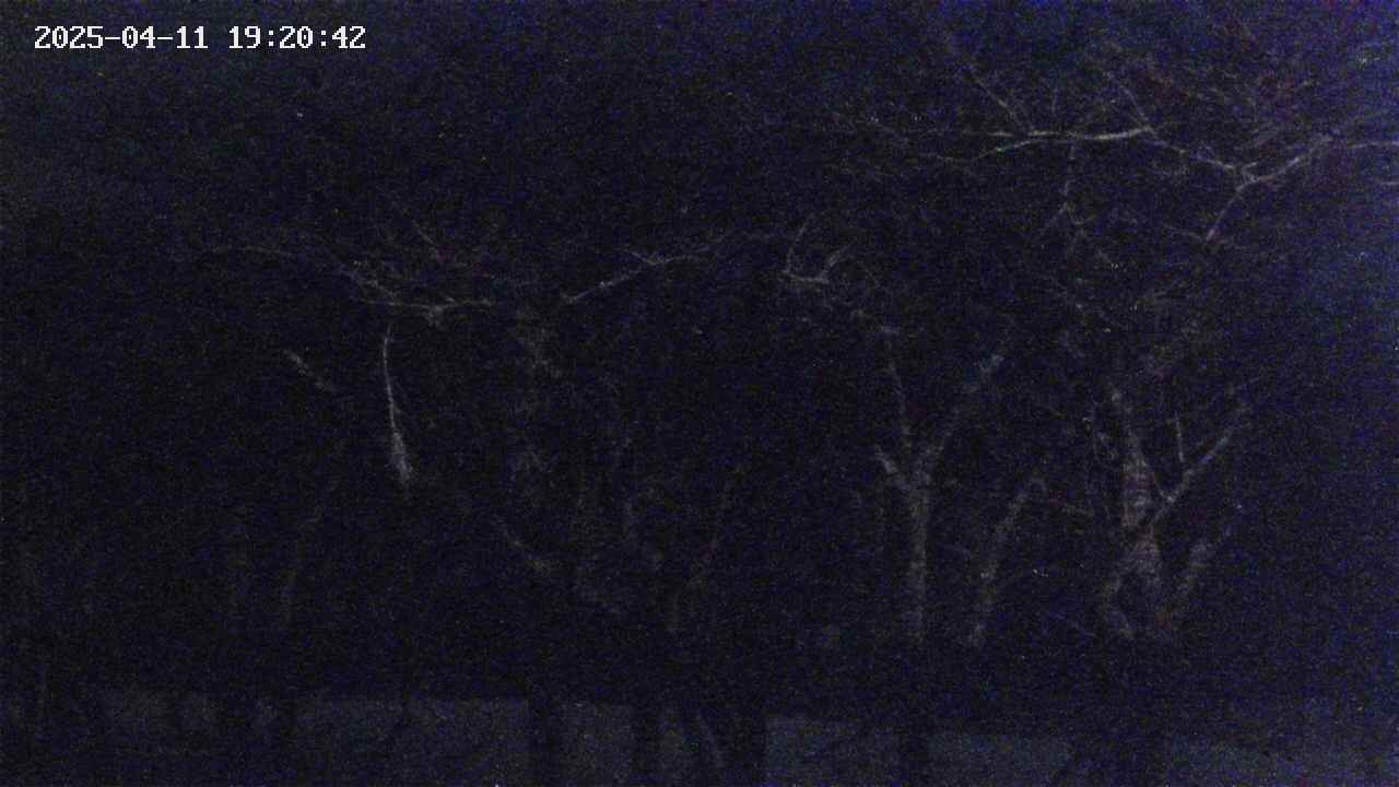 takano3-20250411192043.jpg