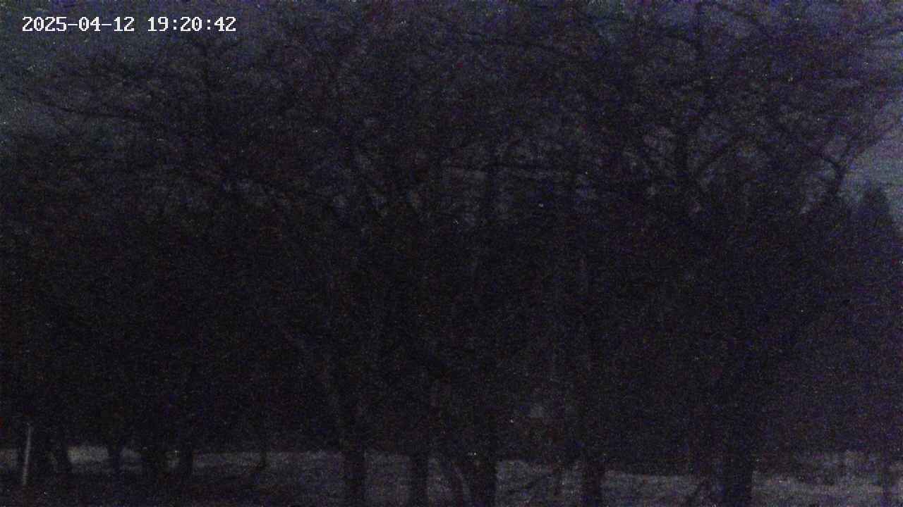 takano3-20250412192043.jpg