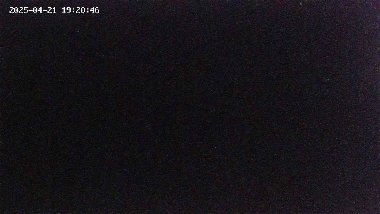 takano3-20250421192043.jpg