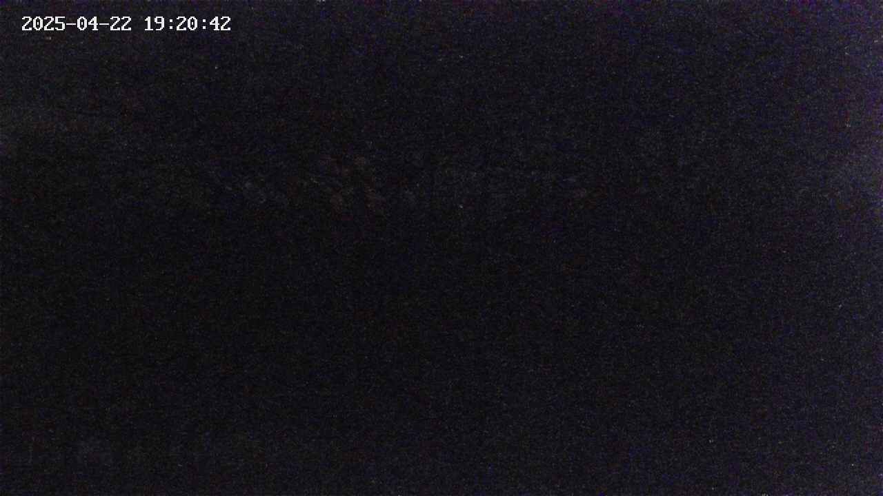 takano3-20250422192043.jpg