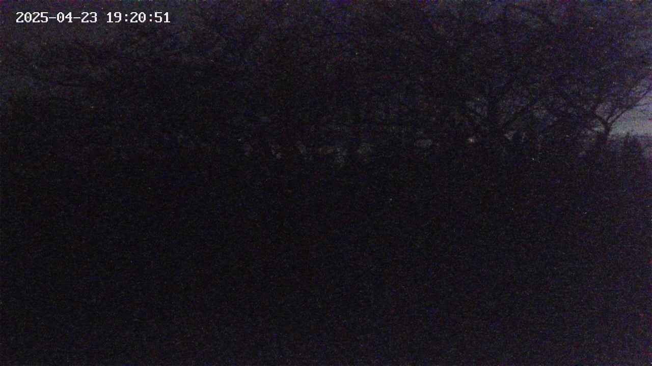 takano3-20250423192043.jpg