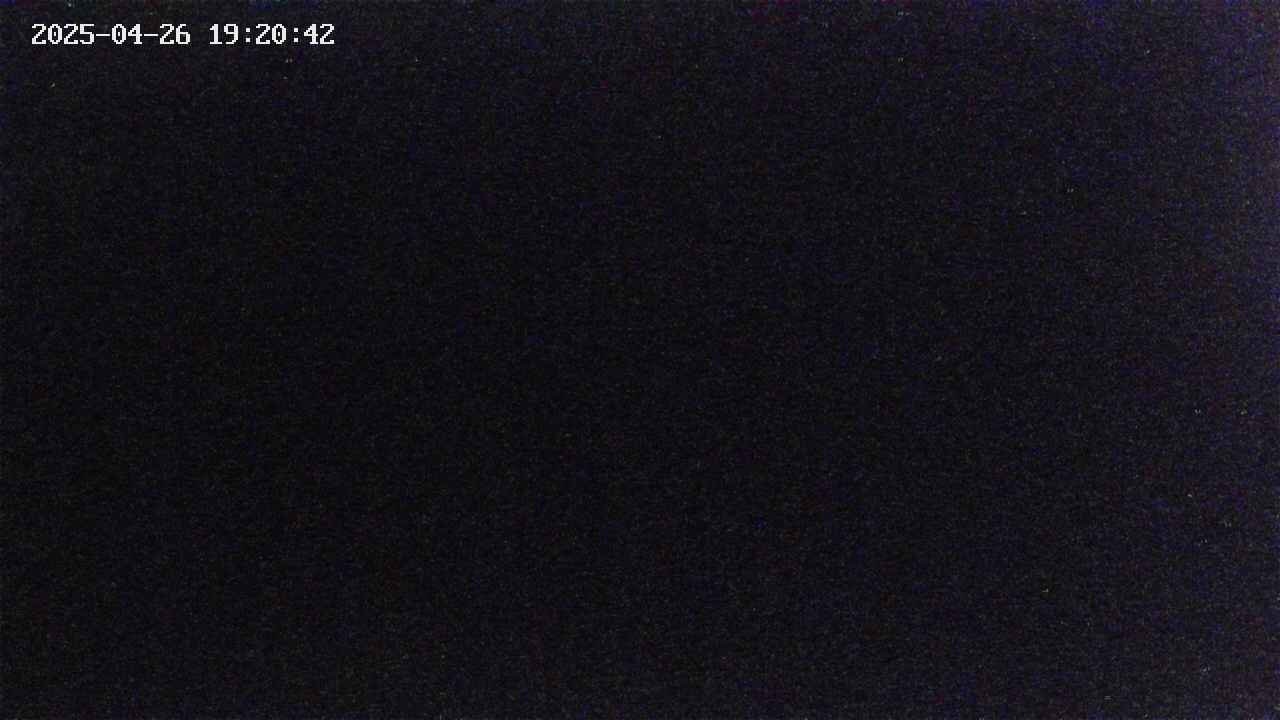 takano3-20250426192043.jpg