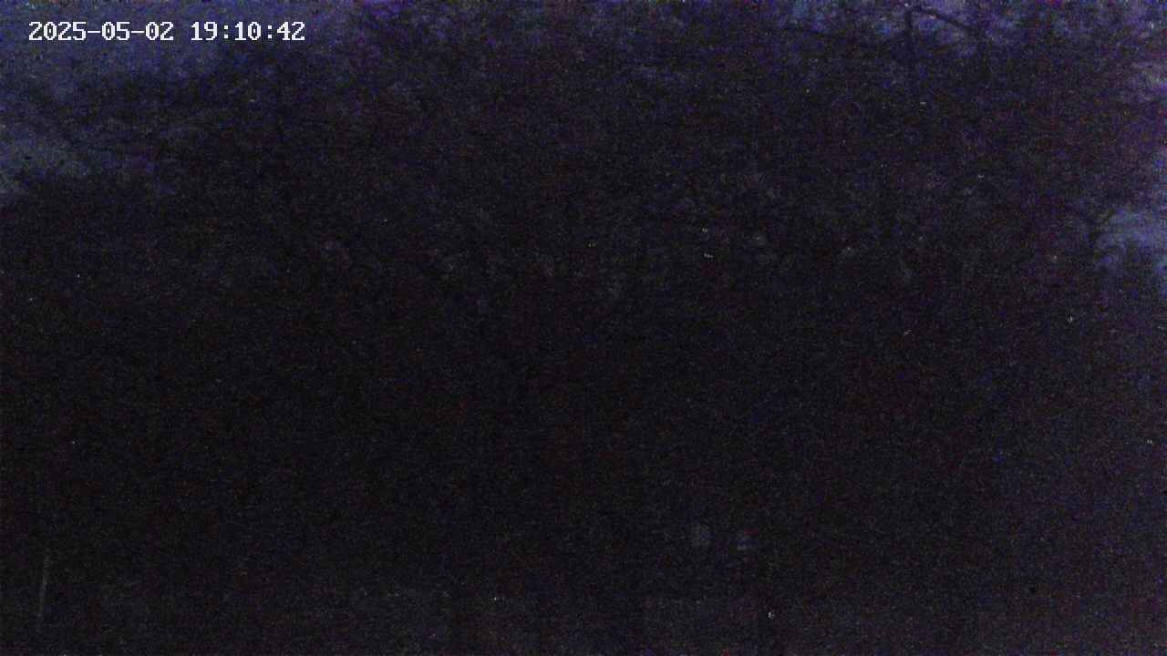 takano3-20250502191042.jpg